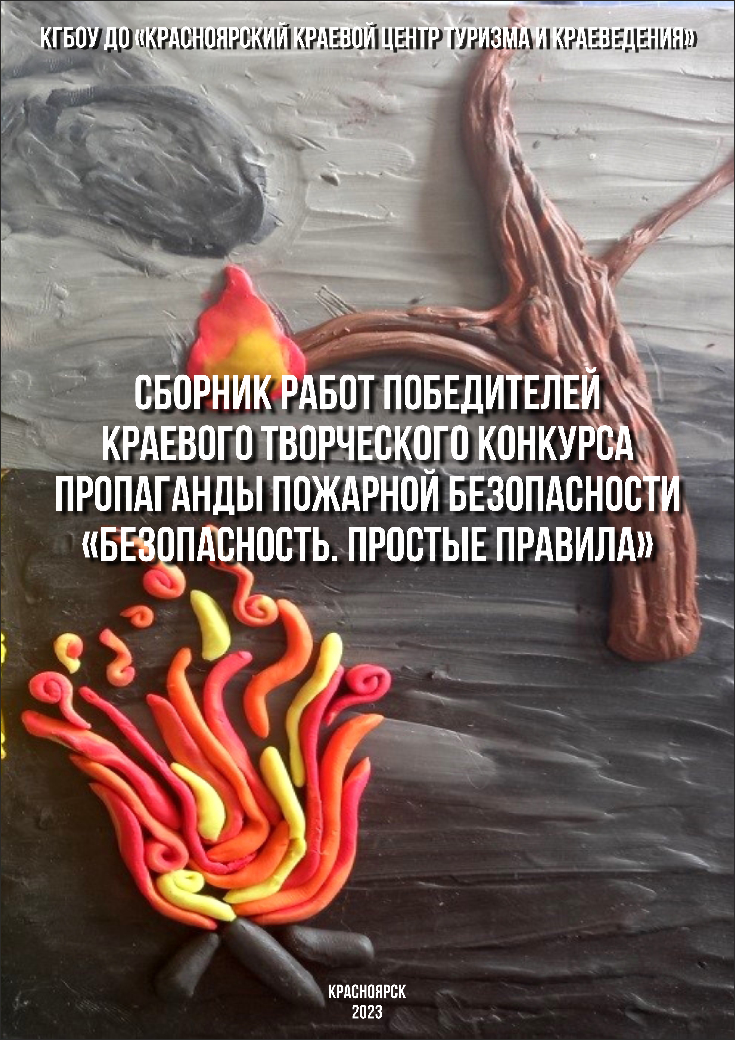 Сборник работ победителей конкурса «Безопасность. Простые правила»